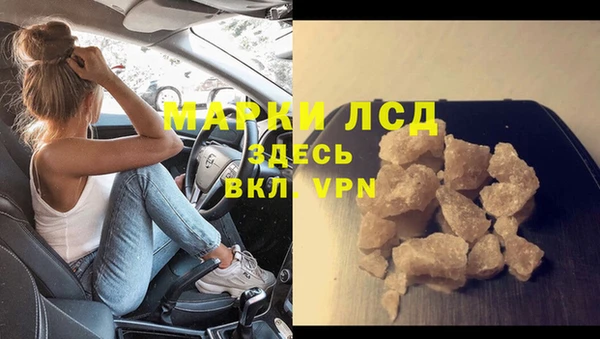 шишки Снежногорск