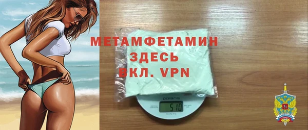 шишки Снежногорск