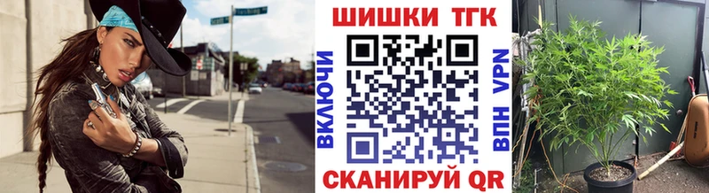 Канабис план  купить наркоту  Балахна 